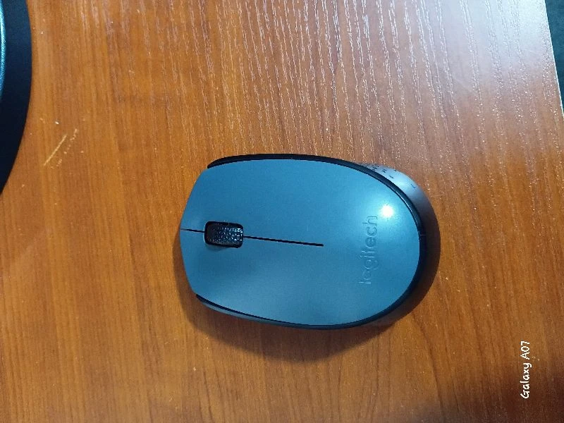 logitech mouse m170